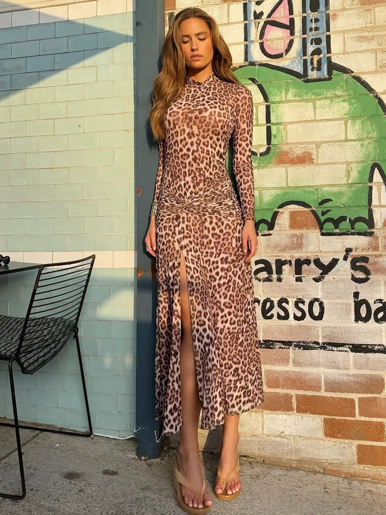 Leopard print long-sleeved dress