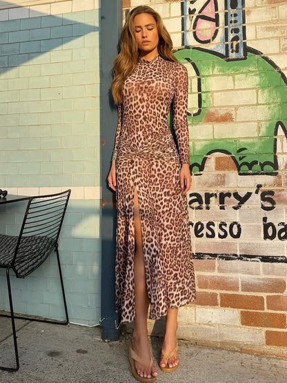 Leopard print long-sleeved dress